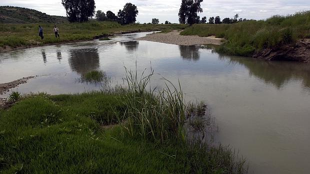 El corredor verde del Guadiamar