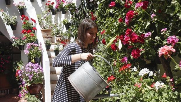 Una mujer riega las plantas en Duartas, 2, este domingo