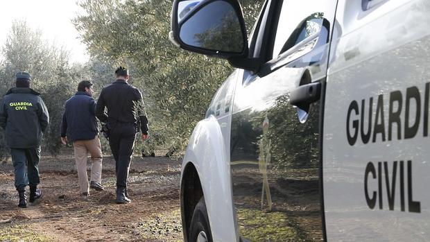 Un grupo de prevención de robos en el campo cordobés de la Guardia Civil