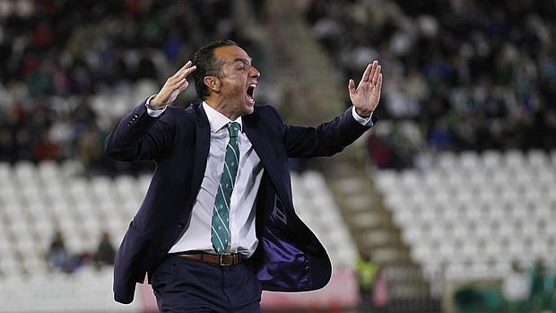 José Luis Oltra, durante el último partido del Córdoba