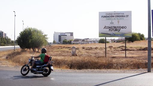 Terrenos donde iba a construirse la Ciudad Deportiva