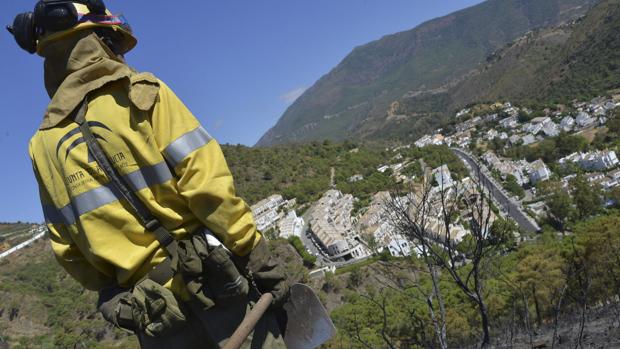 Un agente de Medio Ambiente vigila una zona afectada por un incendio