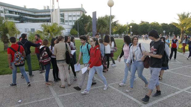 Estudiantes en el Campus de Rabanales 21