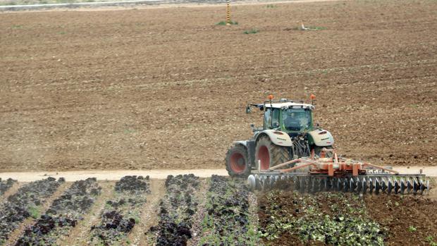 Un pensionista reclama una herencia millonaria en Córdoba