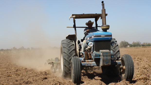 Un agricultor arando su campo con un tractor