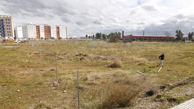 Terrenos sobre los que se levantará el hospital Quirón