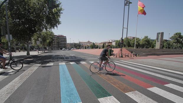 ¿De qué color es la cebra?