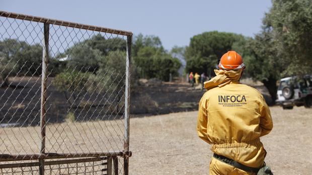 Sofocado un incendio en el término de Espiel