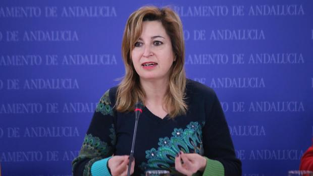 La presidente del grupo parlamentario andaluz de Podemos, Carmen Lizárraga