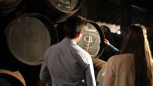 Unos jóvenes durante una visita a la bodega de Alvear