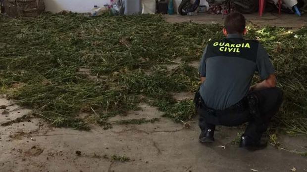 Marihuana incautada por la Guardia Civila