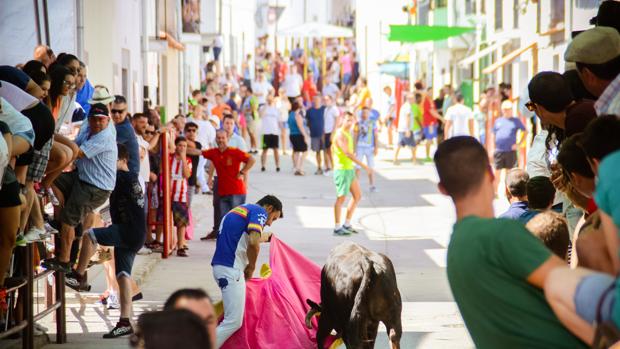 Los encierros marcan el inicio de las fiestas de Dos Torres