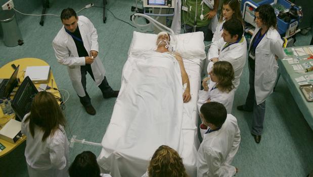 Médicos en Granada asisten a un curso de trasplantes