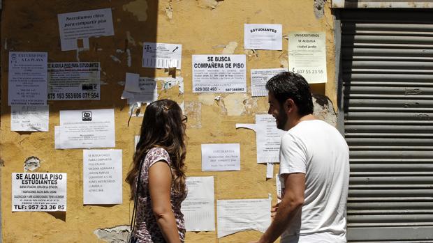 Una pareja consulta los carteles que anuncian viviendas en alquiler