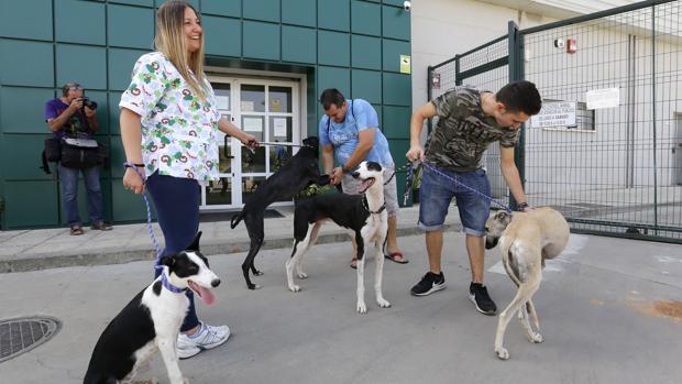 Algunos de los animales rescatados por la asociación del CECA cordobés