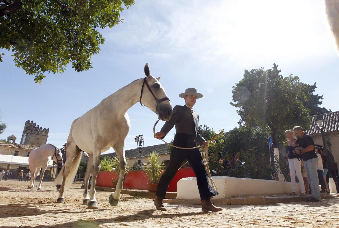 Imagen de una edición anterior de Cabalcor