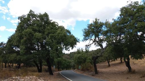 La carretera es angosta y está llena de pendientes