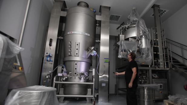 Interior de la planta de Pérez Giménez cerrada a cal y canto en Almodóvar del Río