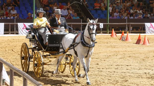 Concurso de atalaje en Caballerizas Reales, en el marco de Cabalcor