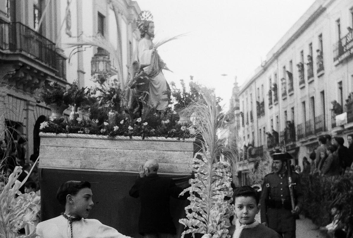 La primitiva hermandad de la Borriquita, durante su procesión