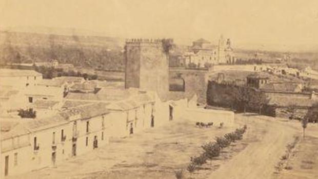 La torre, en 1862, con la higuera visible a la derecha