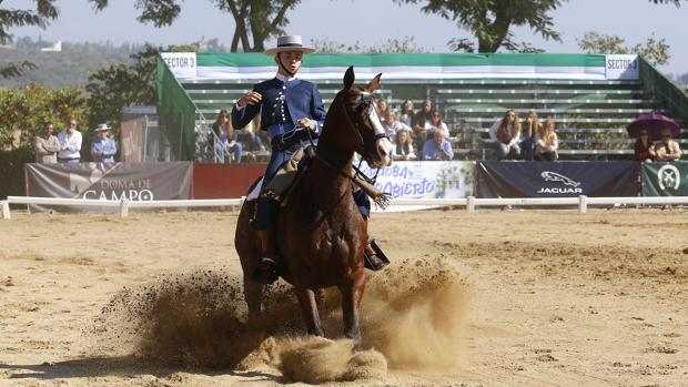 Un jinete en una de las competiciones del II Salón Internacional del Caballo de Córdoba