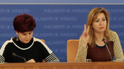 Esperanza Gómez y Carmen Lizárraga lideran la candidatura Ahora Andalucía