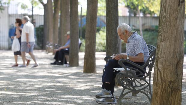 Un anciano en un parque de la capital cordobesa