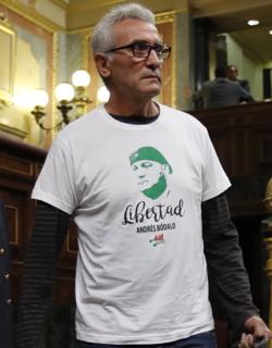 Cañamero, el jueves en el Congreso