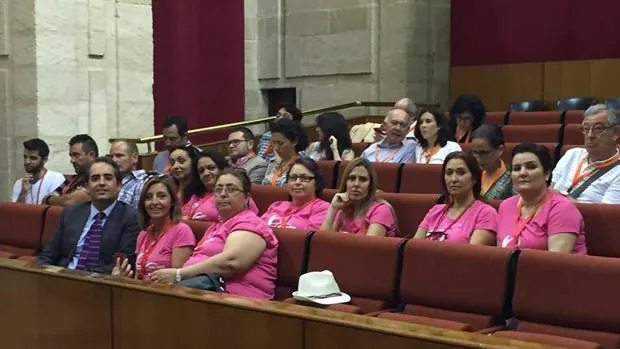 Mujeres de la Asociación AMMA de Jerez se manifestaron en el Parlamento