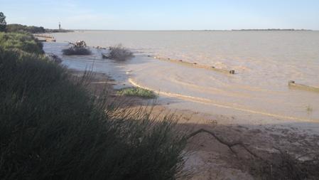 Las riberas del Guadalquivir a su paso por Doñana