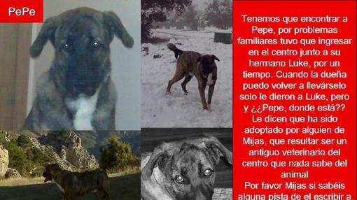 Los desaparecidos de Parque Animal