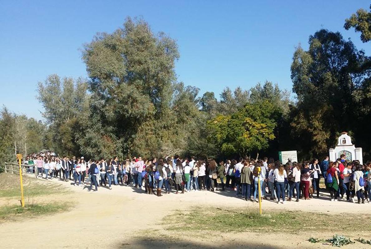 Jóvenes cofrades durante la peregrinación