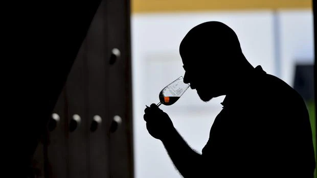 Un sumiller prueba un vino de la DOP Montilla-Moriles