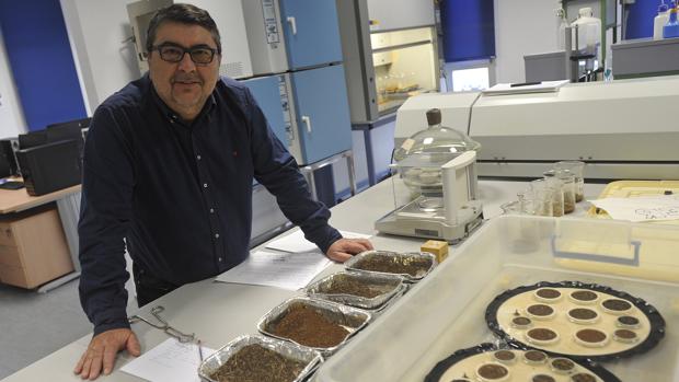 El catedrático, en el laboratorio de la UMA donde estudia los suelos