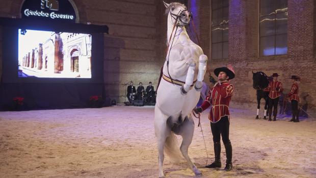 Un momento del espectáculo con motivo del 20 aniversario de Córdoba Ecuestre