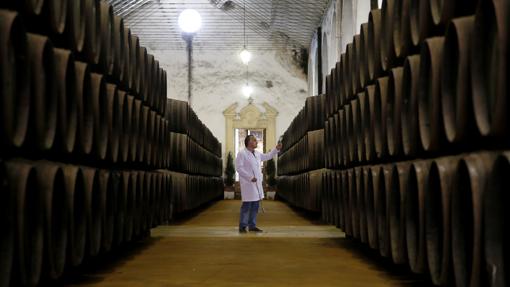 Las bodegas Pérez Barquero son algunas de las que se pueden visitar en Montilla