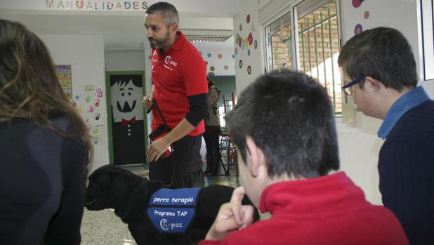 Las clases son para grupos pequeños, máximo seis personas