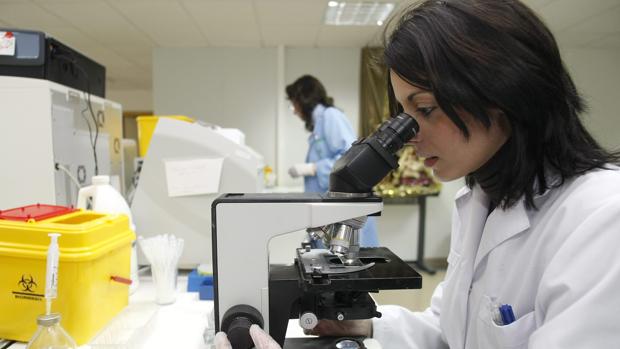 Investigación en un laboratorio de Córdoba