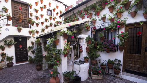 Uno de los Patios de Córdoba