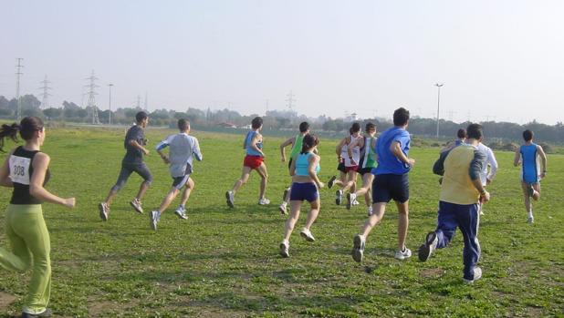 Ocho kilómetros para el Trofeo Rector de campo a través de la UCO