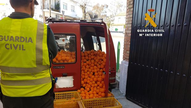 Un agente de la Guardia Civil con el cargamento de naranjas interceptado