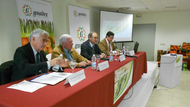 Jornadas sobre el cultivo del espárrago, ayer, organizadas por la firma Guadex