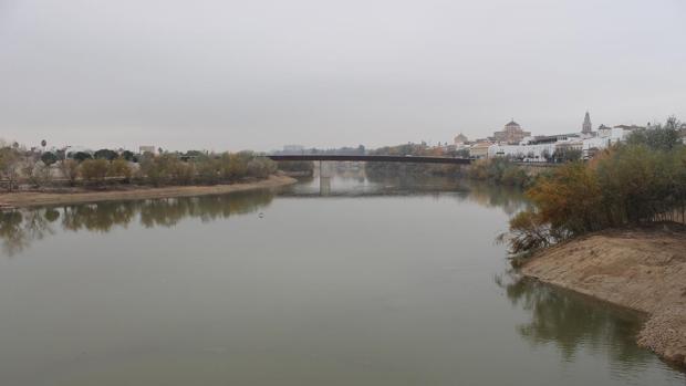 Contaminan un afluente del Guadalquivir con el vertido de residuos de almazaras