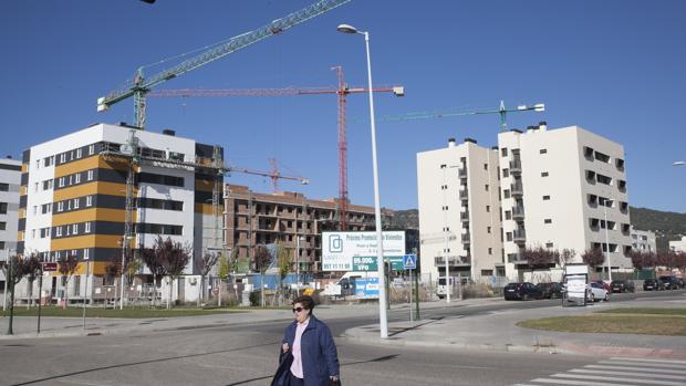 Viviendas en construcción en la Huerta de la Reina