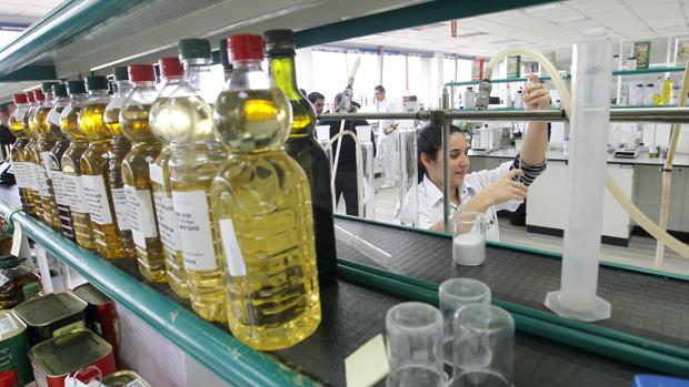 Trabajo en la planta de Deoleo en Alcolea