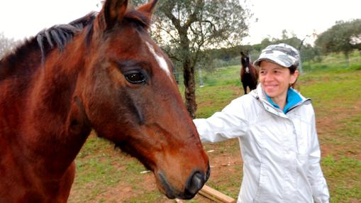 Doñana acogerá dos refugios para asnos y caballos abandonados