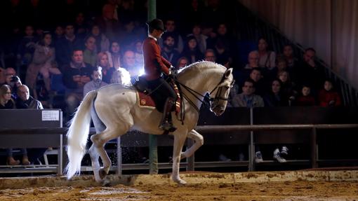 Un espectáculo ecuestre en Caballerizas Reales