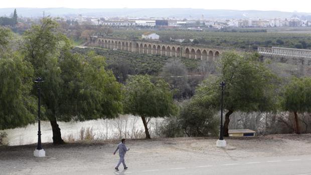 Una persona pasea junto a la ribera del río Genil en Palma del Río