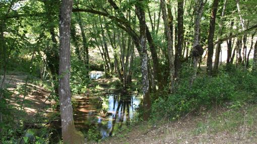 Imagen del arroyo Bejarano en Córdoba